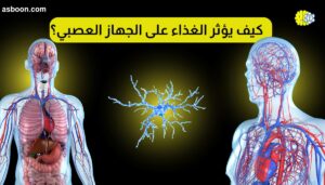 كيف يؤثر الغذاء على الجهاز العصبي؟